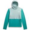 imageTHE NORTH FACE Womens Glacier Fleece Pullover HoodieOxidized BronzeMuted Pine