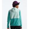imageTHE NORTH FACE Womens Glacier Fleece Pullover HoodieOxidized BronzeMuted Pine