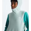 imageTHE NORTH FACE Womens Glacier Fleece Pullover HoodieOxidized BronzeMuted Pine