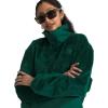 imageTHE NORTH FACE Womens Novelty Osito JacketEvergreen