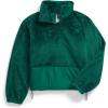 imageTHE NORTH FACE Womens Novelty Osito JacketEvergreen