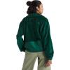 imageTHE NORTH FACE Womens Novelty Osito JacketEvergreen