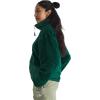 imageTHE NORTH FACE Womens Novelty Osito JacketEvergreen