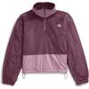 imageTHE NORTH FACE Womens Novelty Osito JacketMidnight Mauve