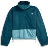 imageTHE NORTH FACE Womens Novelty Osito JacketMidnight PetrolAlgae Blue