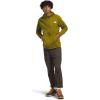 imageTHE NORTH FACE mens Men HoodieSulphur Moss Heather
