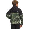 imageTHE NORTH FACE Boys Never Stop Hooded Wind Jacket Little KidsBig KidsNew Taupe Green Led Forest Print