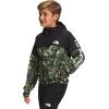 imageTHE NORTH FACE Boys Never Stop Hooded Wind Jacket Little KidsBig KidsNew Taupe Green Led Forest Print