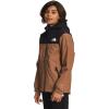 imageTHE NORTH FACE Boys Warm Storm Rain Jacket Little KidsBig KidsToasted Brown