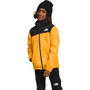 imageTHE NORTH FACE Boys Warm Storm Rain Jacket Little KidsBig KidsSummit Gold