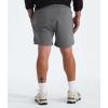 imageTHE NORTH FACE Mens Wander Short 20 Standard and Big SizeSmoked Pearl