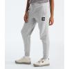 imageTHE NORTH FACE Womens Core JoggerTnf Light Grey Heather