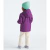 imageTHE NORTH FACE Boys Zipline Rain Jacket ToddlerGrape