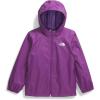 imageTHE NORTH FACE Boys Zipline Rain Jacket ToddlerGrape