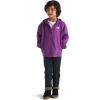 imageTHE NORTH FACE Boys Zipline Rain Jacket ToddlerGrape