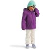 imageTHE NORTH FACE Boys Zipline Rain Jacket ToddlerGrape