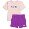imageTHE NORTH FACE babyboys Cotton Summer Set Graphic ToddlerPink MossGrape