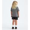 imageTHE NORTH FACE babyboys Cotton Summer Set Graphic ToddlerSmoked PearlTnf Black