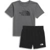 imageTHE NORTH FACE babyboys Cotton Summer Set Graphic ToddlerSmoked PearlTnf Black