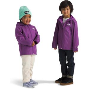 imageTHE NORTH FACE Boys Zipline Rain Jacket ToddlerGrape