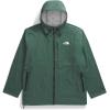 imageTHE NORTH FACE Mens Big Alta Vista JacketDuck Green