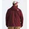 imageTHE NORTH FACE Mens Big Alta Vista JacketSumac