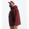 imageTHE NORTH FACE Mens Big Alta Vista JacketSumac