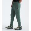 imageTHE NORTH FACE Mens Core JoggerDuck GreenTnf Black