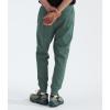 imageTHE NORTH FACE Mens Core JoggerDuck GreenTnf Black