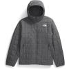 imageTHE NORTH FACE Mens Junction Insulated HoodieSmoked Pearl