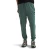 imageTHE NORTH FACE Mens Core JoggerDuck GreenTnf Black