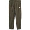 imageTHE NORTH FACE Boys Trail Pants Little Big KidsNew Taupe Green