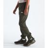 imageTHE NORTH FACE Boys Trail Pants Little Big KidsNew Taupe Green