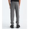 imageTHE NORTH FACE Boys Trail Pants Little Big KidsSmoked Pearl