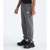 imageTHE NORTH FACE Boys Trail Pants Little Big KidsSmoked Pearl