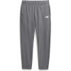 imageTHE NORTH FACE Boys Trail Pants Little Big KidsSmoked Pearl