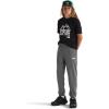 imageTHE NORTH FACE Boys Trail Pants Little Big KidsSmoked Pearl