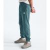 imageTHE NORTH FACE Boys Trail Pants Little Big KidsStormy Blue