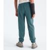 imageTHE NORTH FACE Boys Trail Pants Little Big KidsStormy Blue