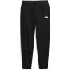 imageTHE NORTH FACE Boys Trail Pants Little Big KidsTnf Black