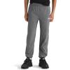 imageTHE NORTH FACE Boys Trail Pants Little Big KidsSmoked Pearl