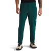 imageTHE NORTH FACE Mens 247 Woven JoggersGreen