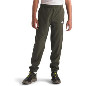 imageTHE NORTH FACE Boys Trail Pants Little Big KidsNew Taupe Green