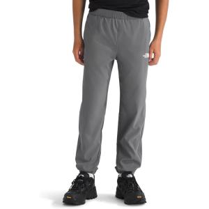imageTHE NORTH FACE Boys Trail Pants Little Big KidsSmoked Pearl