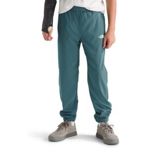 imageTHE NORTH FACE Boys Trail Pants Little Big KidsStormy Blue