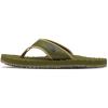 Forest Olive/Forest Olive