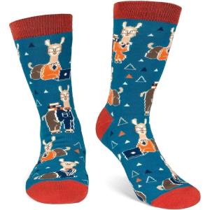 imageFunny Socks for Book Lovers Teachers Gamers Musicians and Nerds  Unisex for Men Women and TeensLlama Nerd