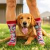 imageFunny Dog Breed Socks Dog Lover Gift For Men ampamp Women Dog Moms Dog Dads Siberian Husky Golden Retriever German ShepherdDog Mom