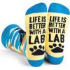 Life is Better With a Lab