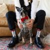 imageLavley Funny Wedding Socks For Men and Women  Gifts For Groom Groomsmen Bride Bridesmaids and Wedding PartyGroomtuxsocks